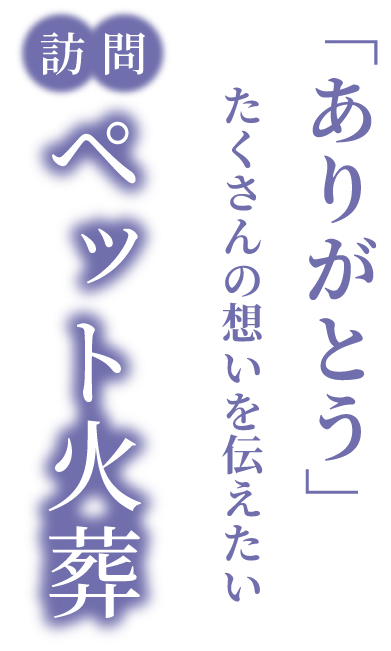 ライズセレモニー 訪問ペット火葬